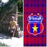 nicusor_yo31